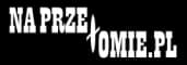 Logo Wypożyczalnia Kajaków Na Przełomie