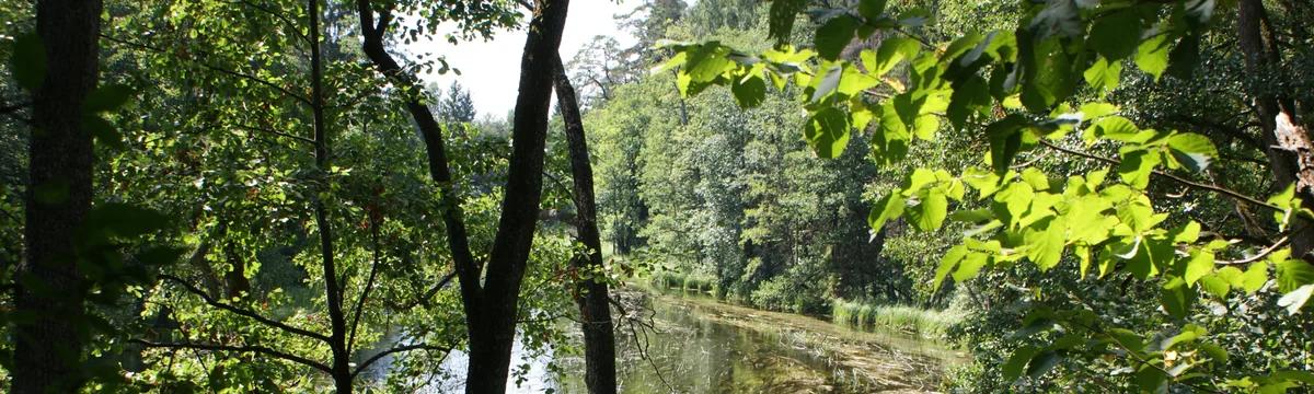 Czarna Hańcza: Tartaczysko – Okółek